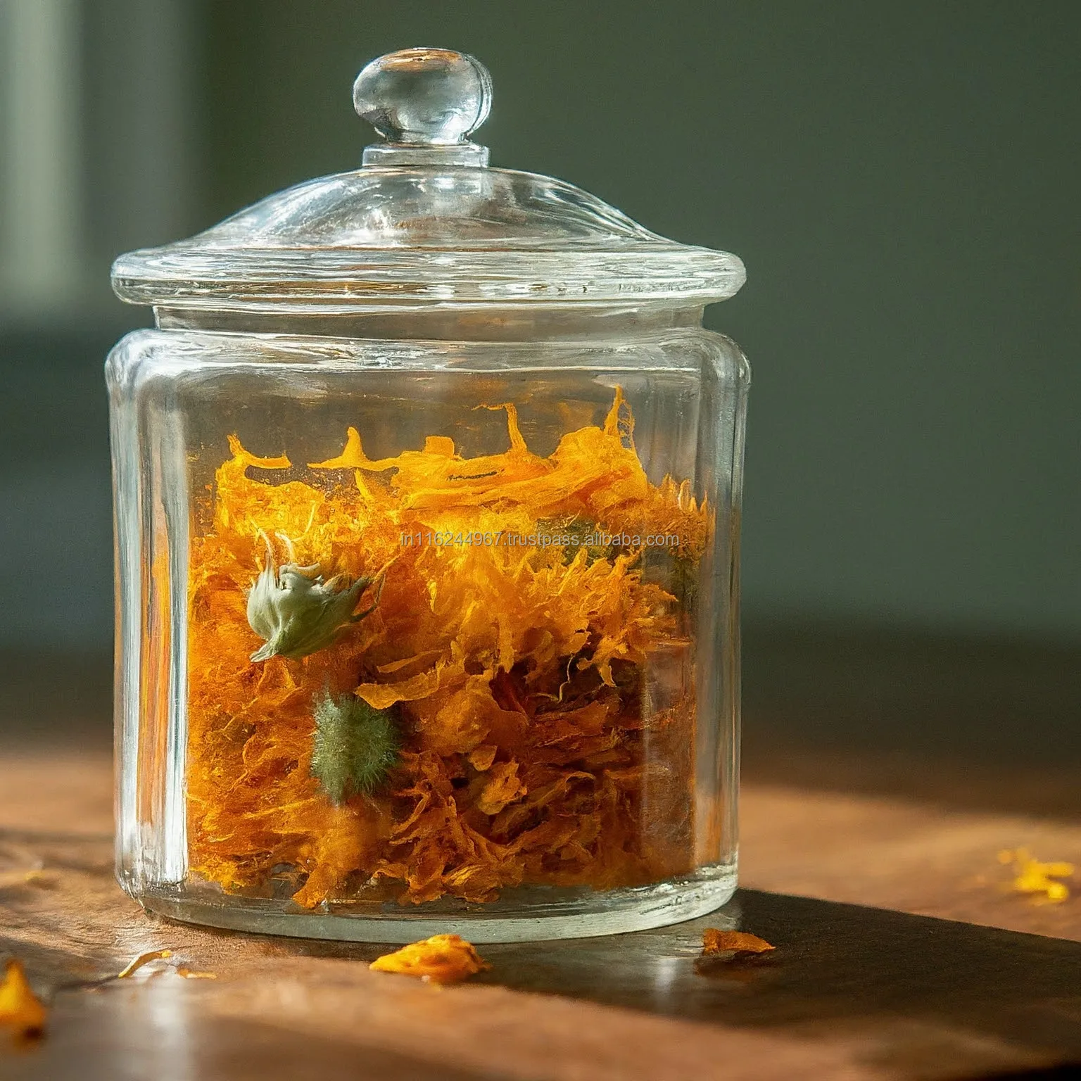 Most Selling Ornamental Plants Artisan Dried Marigold Flower Collection Available at Wholesale Price from India