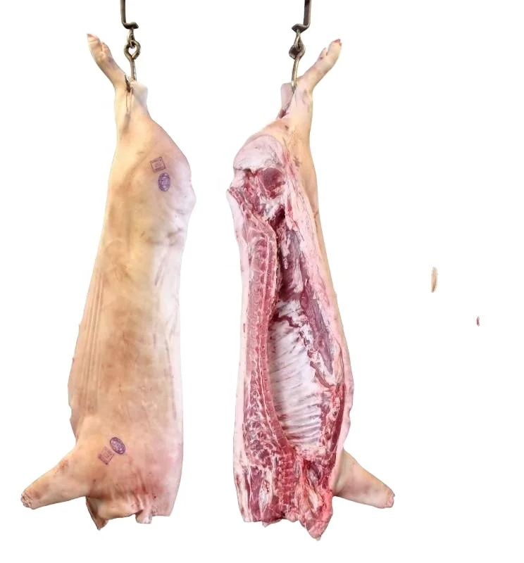 FROZEN MUTTON/SHEEP / LAMB WHOLE  CARCASS, Ready to Export, Bulk Available