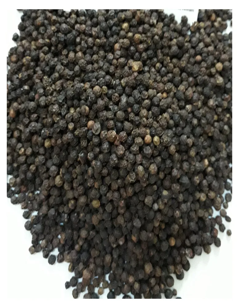 
VIETNAM BLACK PEPPER 550 GPL 