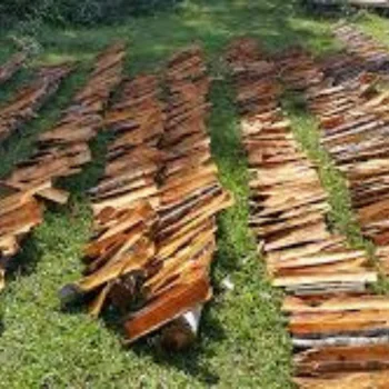 High quality of Vietnam Split cassia best price Large Spices Cinnamon Supplier Wholesales cinnamon