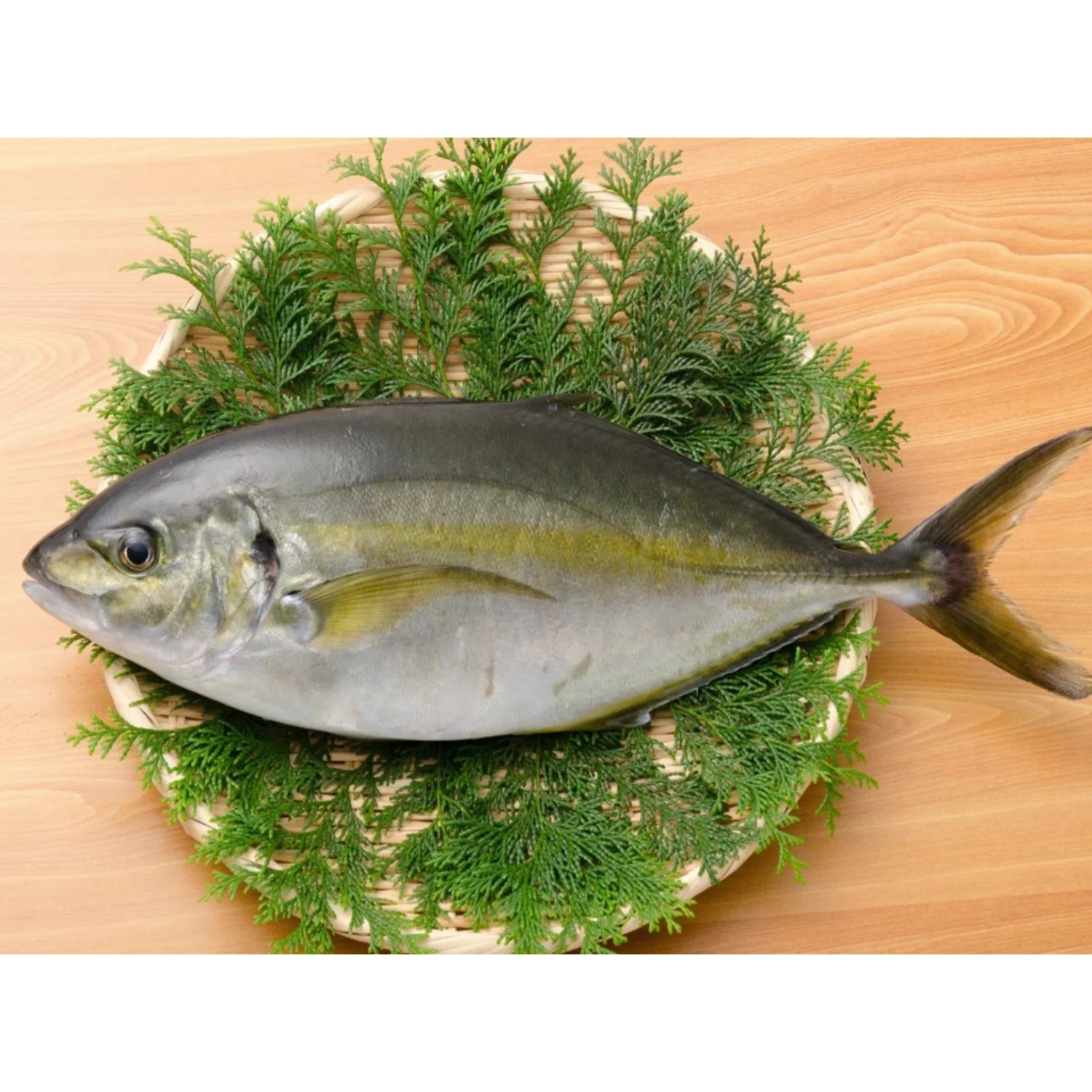 White Trevally Japanese Seafood Products Dishes Frozen Stock Fish Fillet Production Line