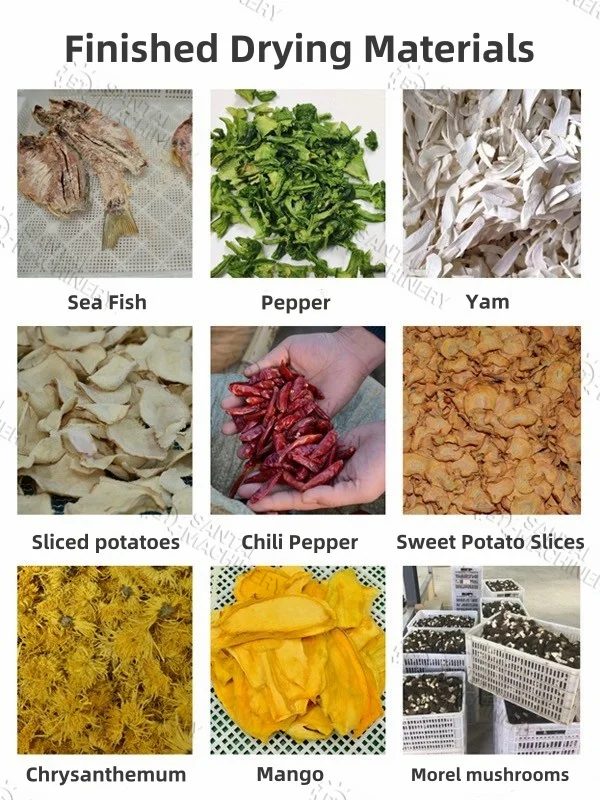 Precision Temperature Control Drying Room Dehydration Drying Cabinetdryer Oven