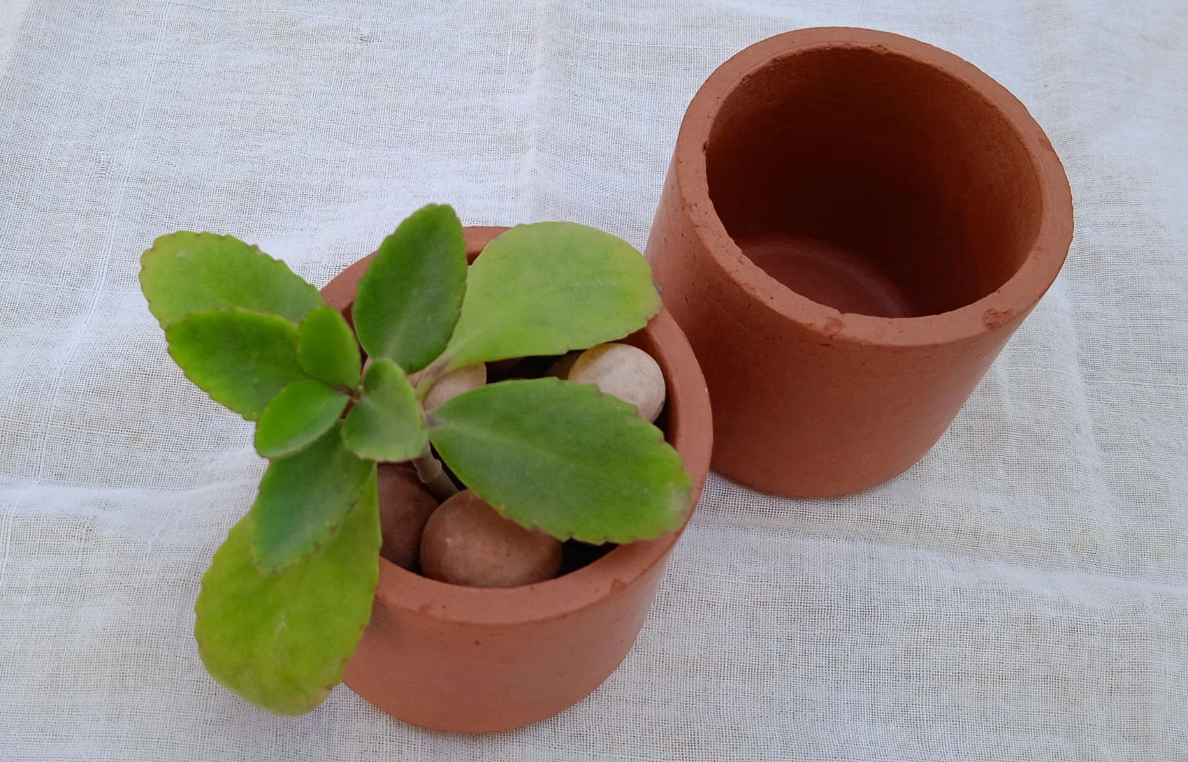 2-8 mm LECA light weight expanded clay aggregate for hydroponics and growing plant media and for light weight concrete