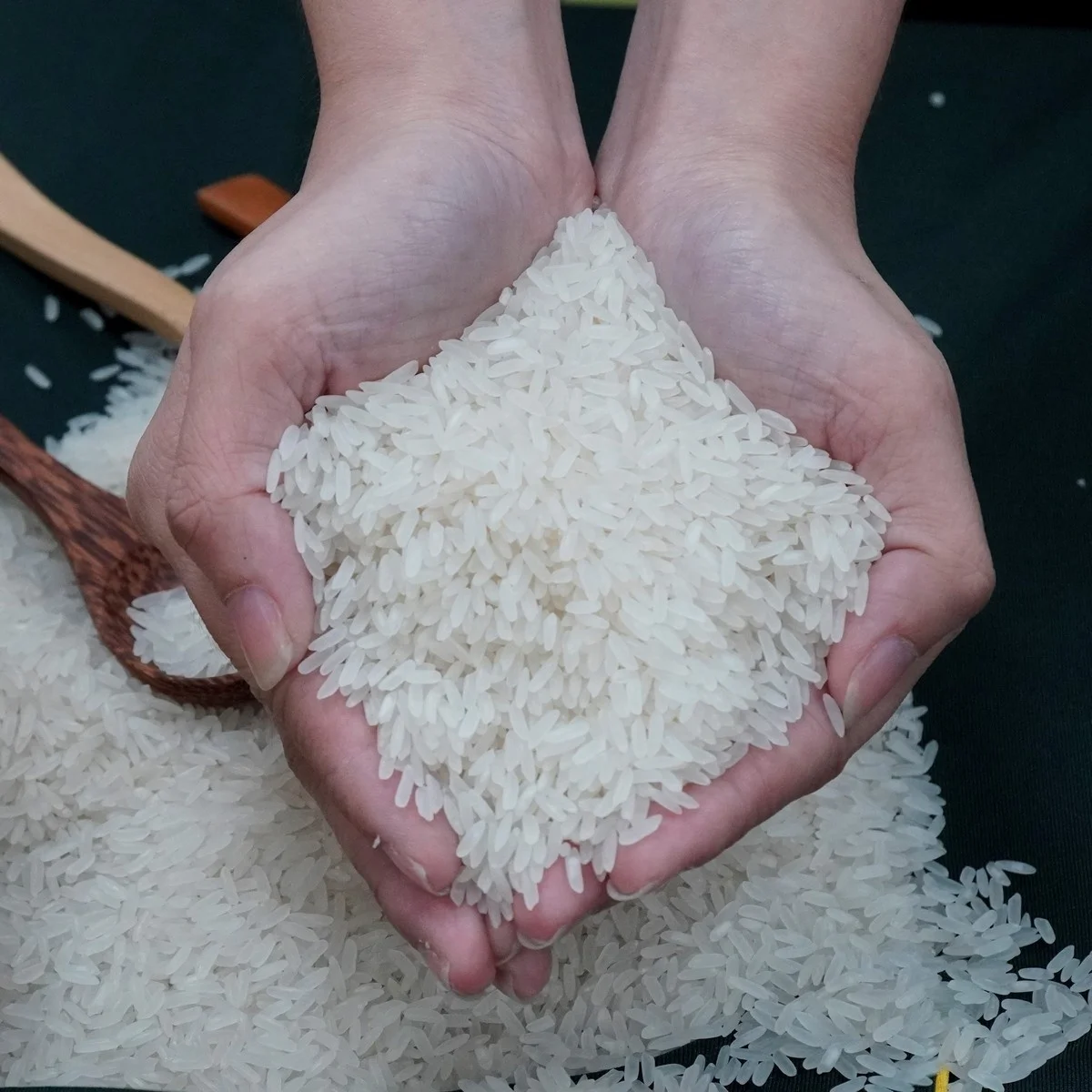 Wholesale 2022 Long Grain Fragrant Rice/White Rice DT8 Variety from Vietnam Best Supplier Contact us for Best Price