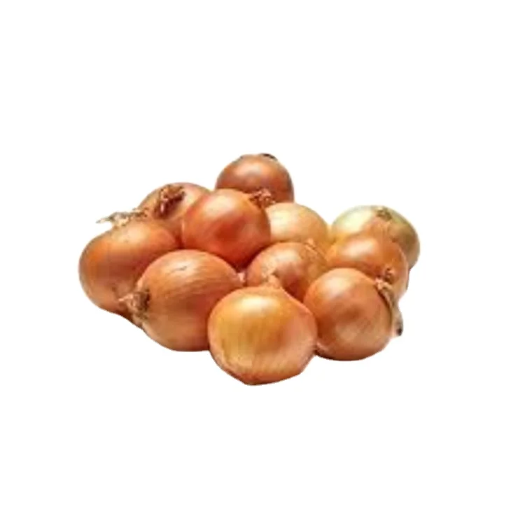 Bombay Golden OnionBest Price for Quality Fresh  for Fresh Vegetables Golden Onion Onion Bombay Golden OnionExporters from india