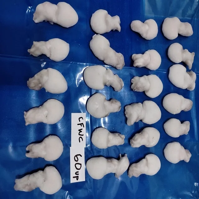 Высококачественная замороженная рыба, полностью очищенная из Индии