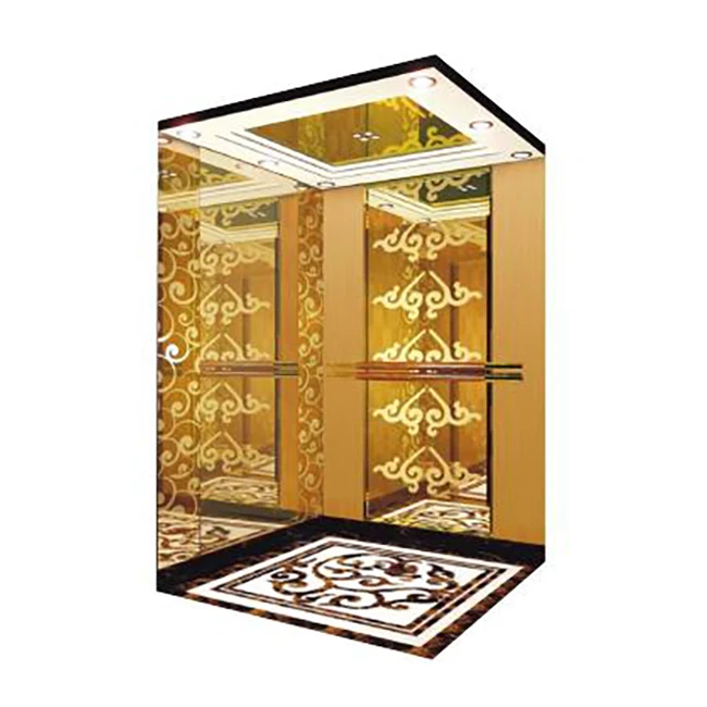 MSDS 630kg 800kg 1000kg Home Elevator Gearless Motor Residential Passenger Elevator