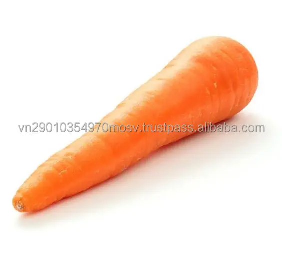 Fresh Carrots From Vietnam Market