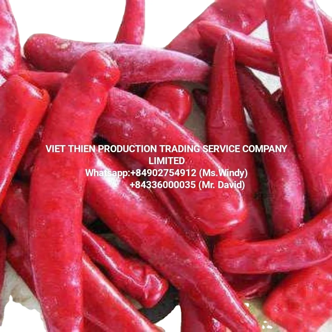 In binh dinh vietnam and available in bulk and wholesale price and best quality and hot spicy and used as spices chili frozen