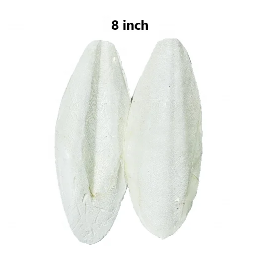 SEPIA SHELL UP TO CUTTLEBONE INCLUDING STAINLESS STEEL PET FOOD FOR BIRDS IN IN BLISTER PACK BIRD BREEDER PARROT