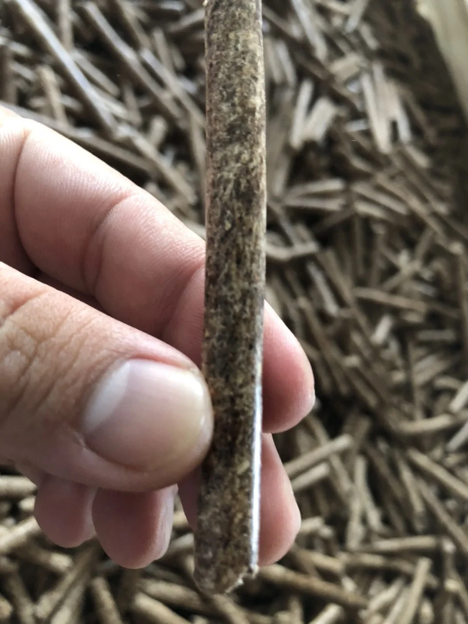 WOOD PELLETS and wood for heating fuel for sale trade Wood Pellets Vietnam Factory Best Price