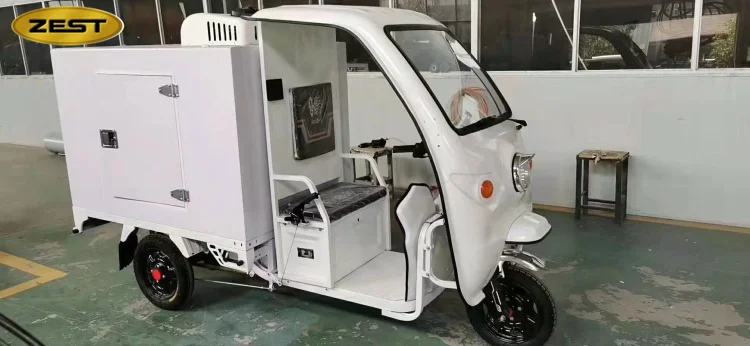 China best frozen tricycle cabin three wheel motorcycle cargo tricycle for sale