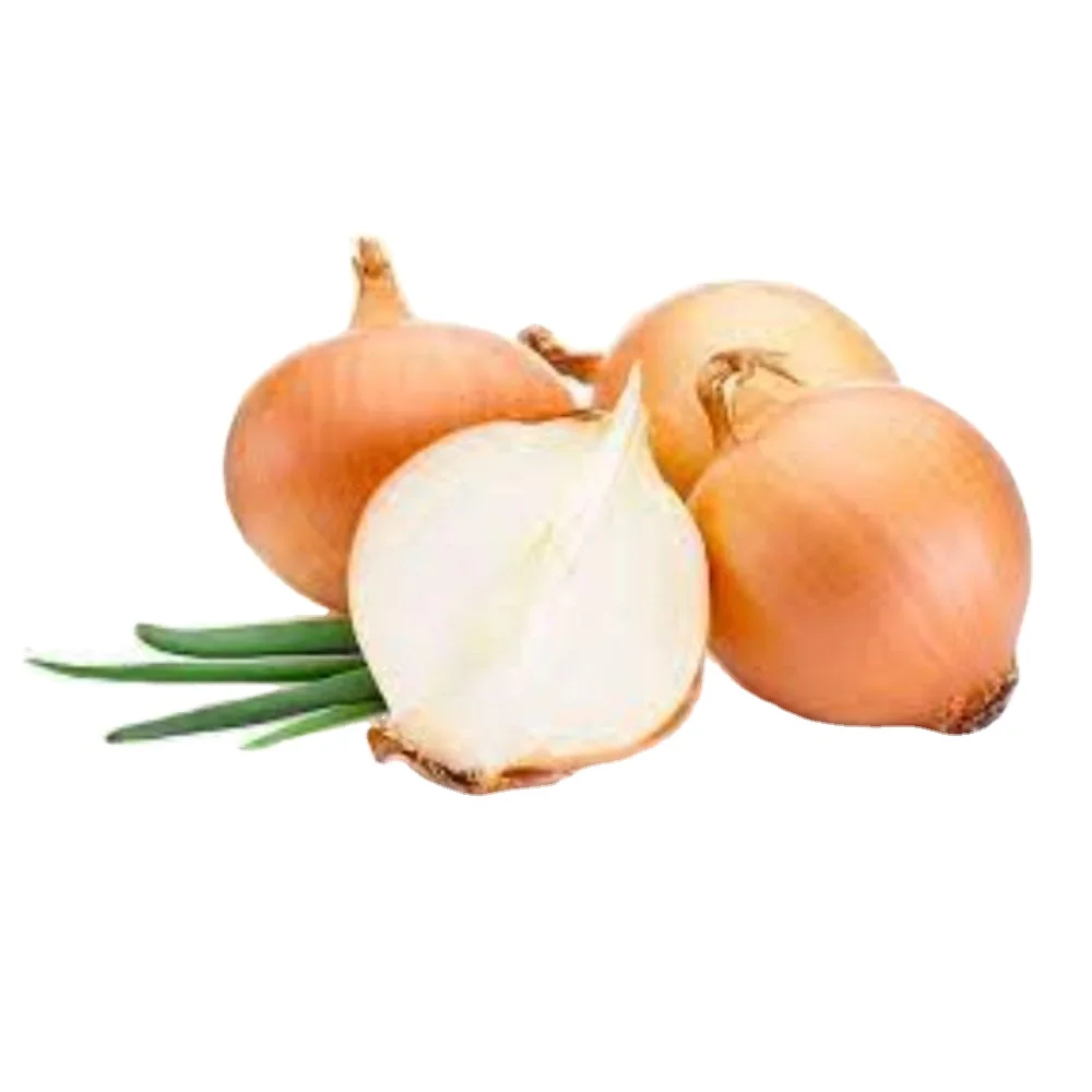 99% Purity for Onion Texas Grano  for Fresh Vegetables verity Red Creole