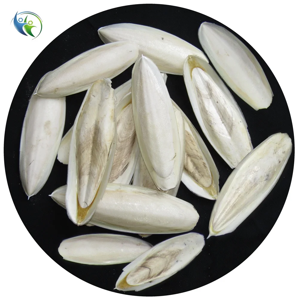 Indian Factory one-stop sale pet food Natural dried cuttlefish bone bird food cuttlefish bone