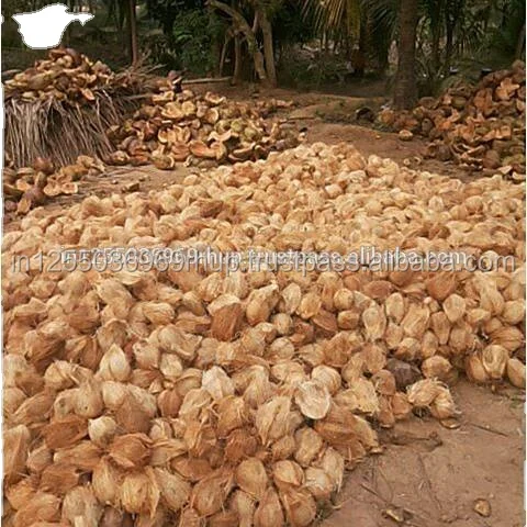 
Semi Husked Coconuts Pollachi India 