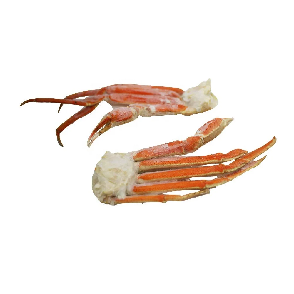 Quality Fresh Live Red King Crab blue crab shell