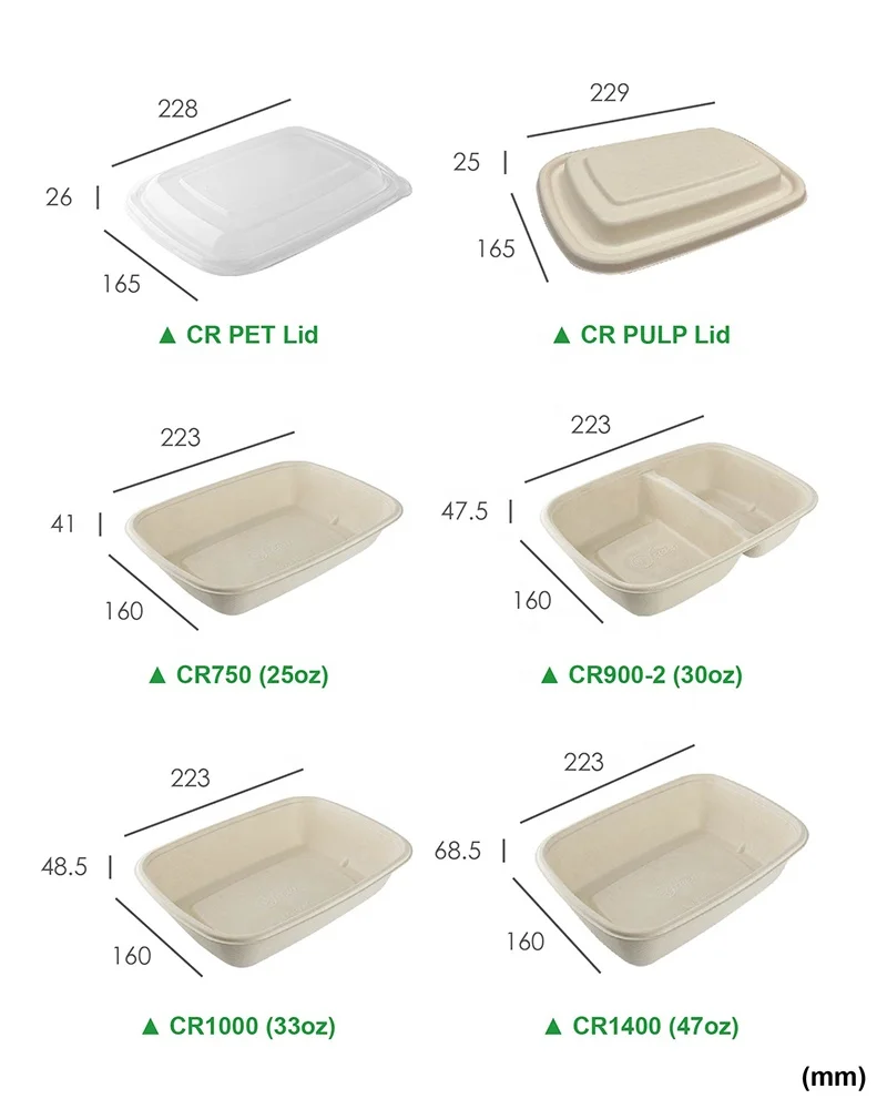 25 oz rectangular eco-friendly biodegradable food takeaway boxes
