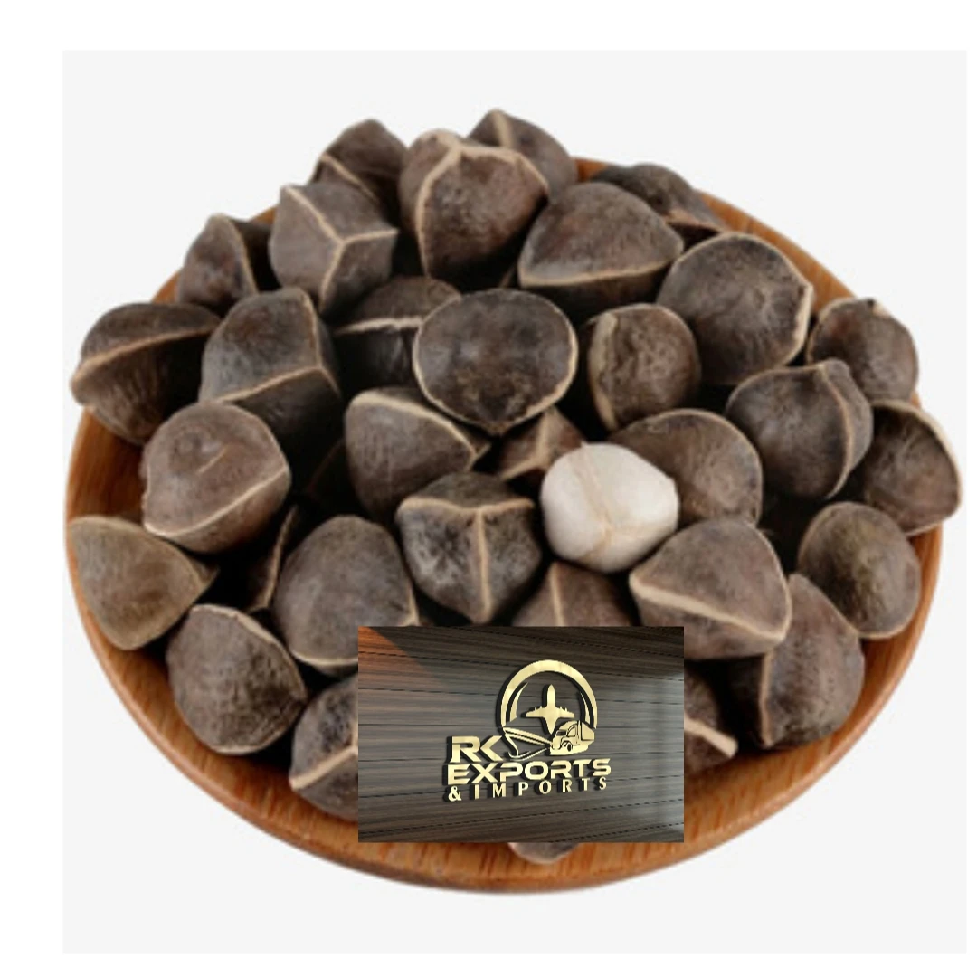 PKM1 MORINGA SEED DRUMSTICK SEED wholesale supplier and exporter original PKM1/PKM2 VARIETY MORINGA SEED