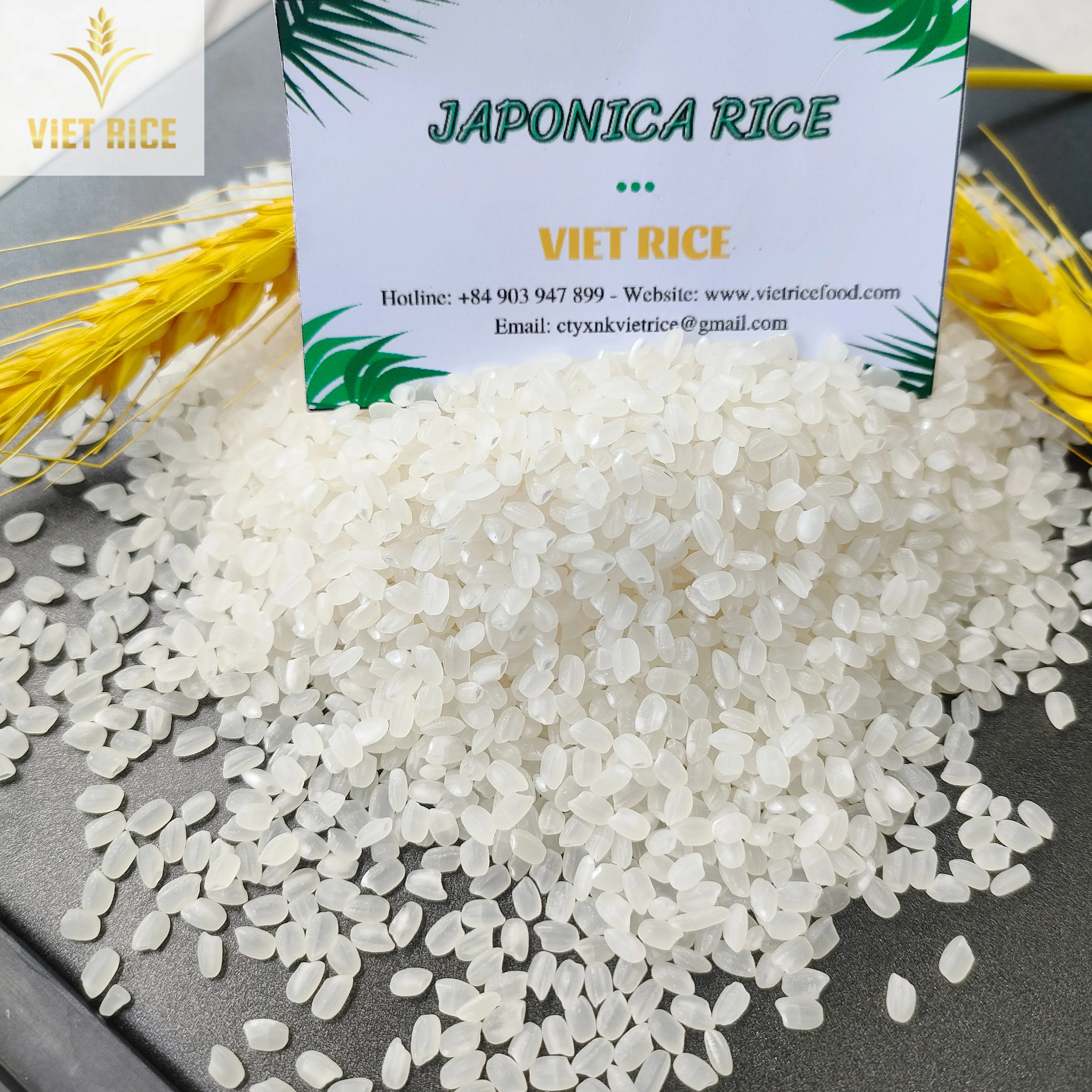 Japan 5% broken short grain white rice, VIETRICE is the best choice for preparing sushi and is sold in bulk at a discount.