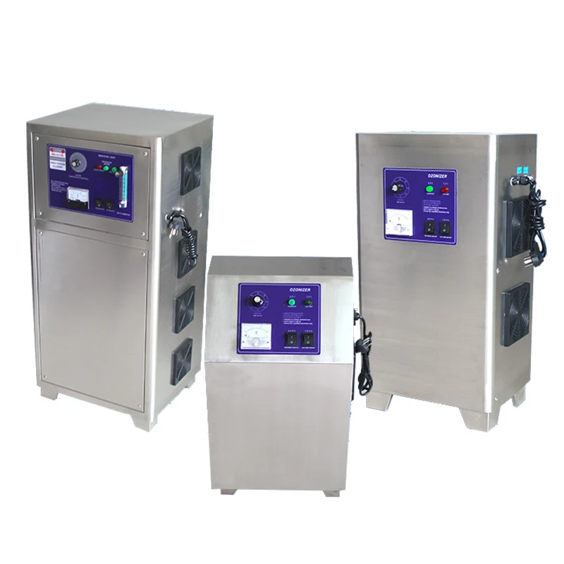 Dissolved Oxygen Ozone Generator Swimming Pool Water Purifying Device Swimming Pool Ozone Generator