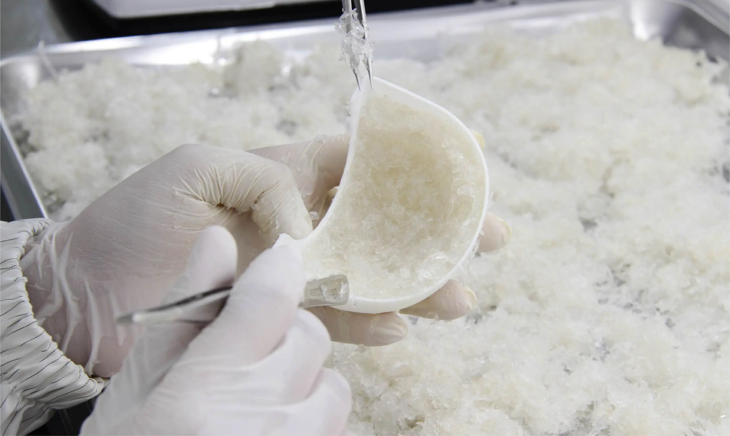 Nutritional Royal Premium Instant Bird Nest Drink Bottle Rock Sugar Concentrated Natural Swallow Nest 70ml