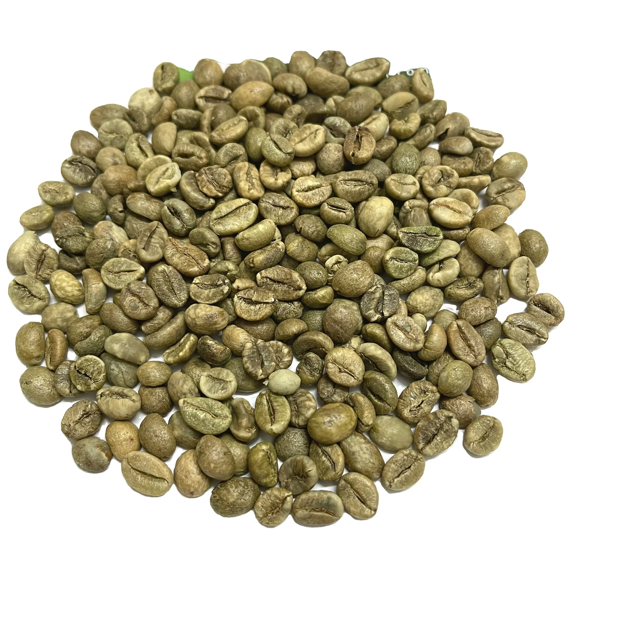 Top Quality Premium Grade Green Coffee Bean with Wholesale Arabica Green Coffee Beans Contact +84368591192
