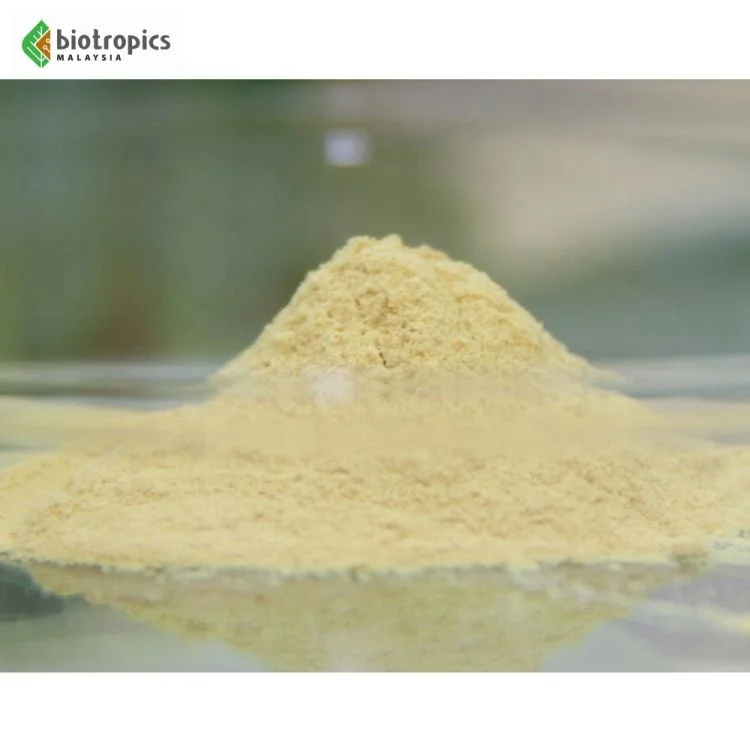 Physta Malaysian Tongkat Ali Root Extract Standardized Eurycoma Longifolia Ingredient Food Protein Powder Health Supplements