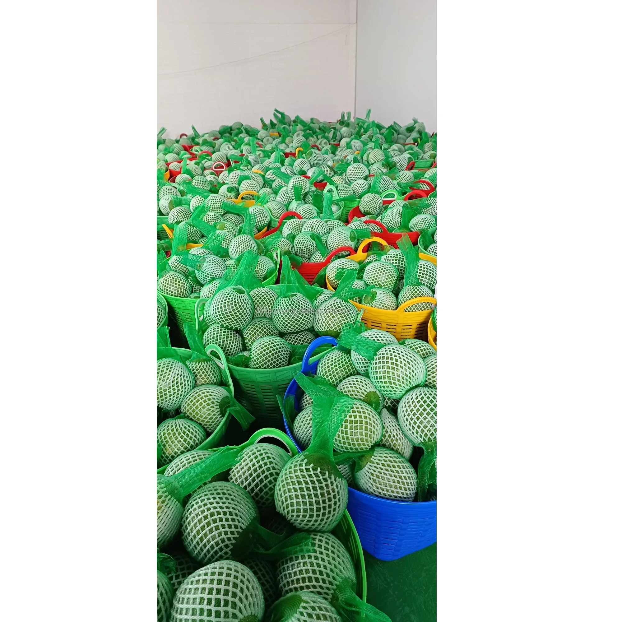 Grapefruit High Quality Cool Storage Vietnamese Pomelo Fruit Best Price OEM 100% Fresh Sour Sweet Taste Green Pomelo