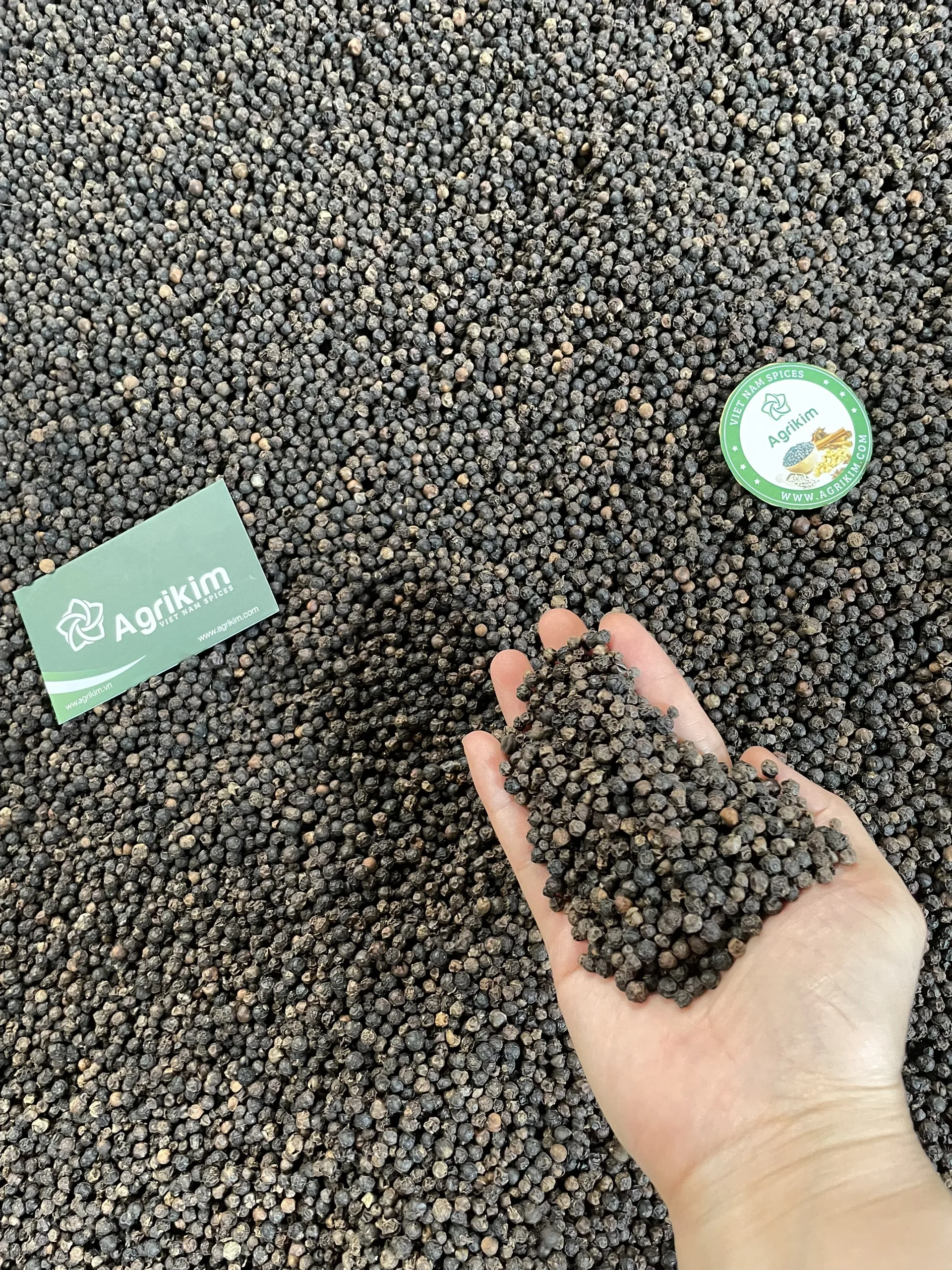 [Credible Provider] Export Quality Top Selling Best Price Spices and Herbs Products Black Pepper Made In Vietnam