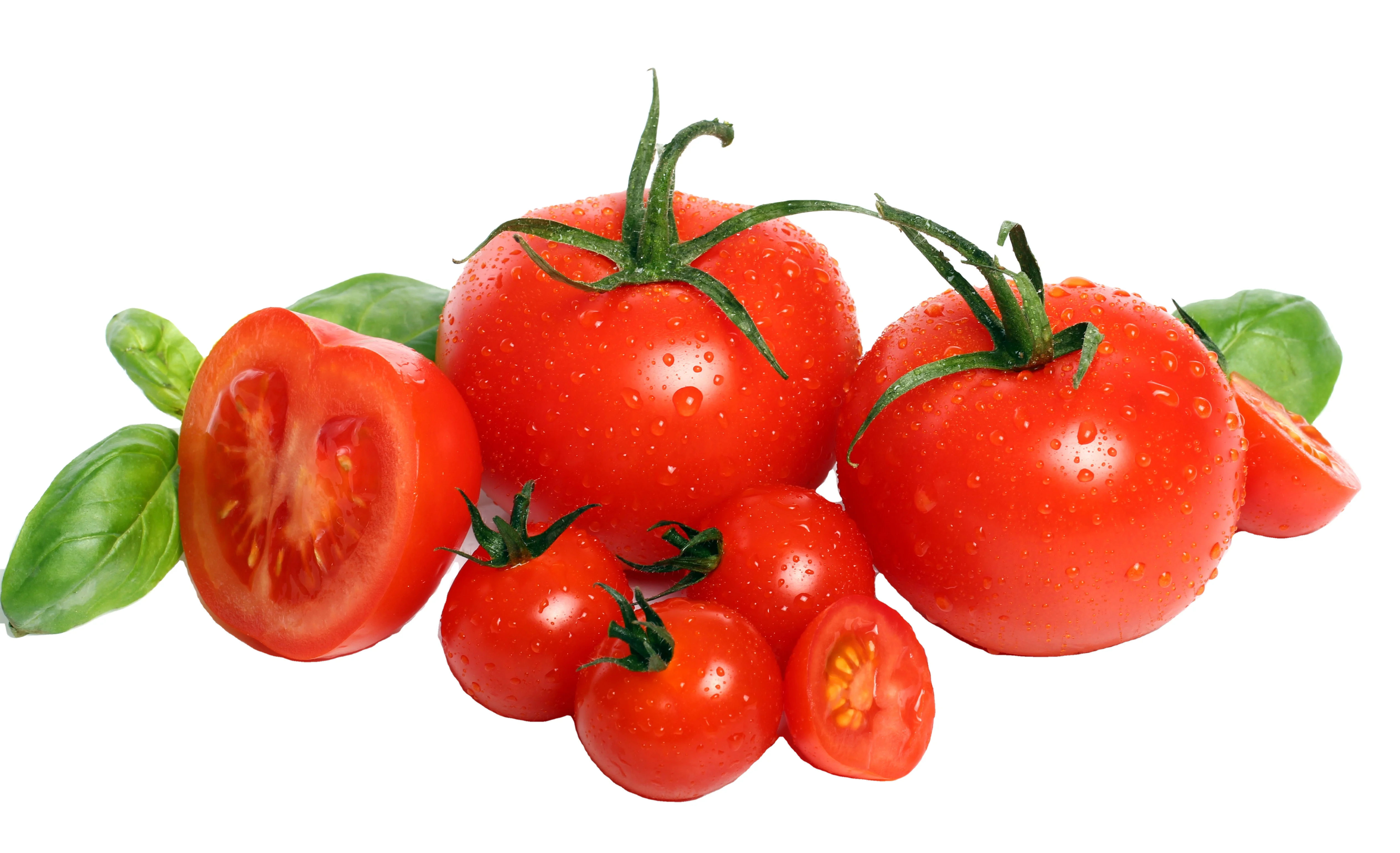 Premium Quality Fresh Cherry Tomato with Natural Red Agrowell Turkish Goods