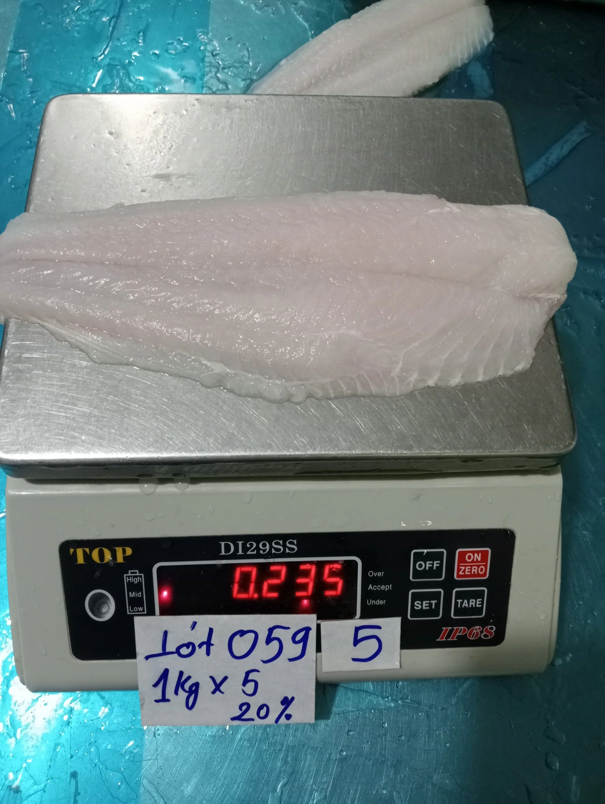 Best quality Seafood Pangasius/ Basa fillet from VietNam