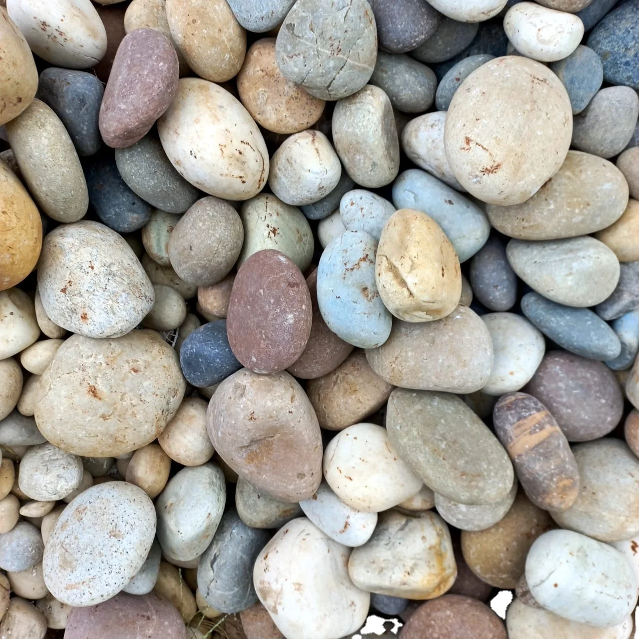 round coral river stone pebbles with best quality standard export pebbles and rock stone