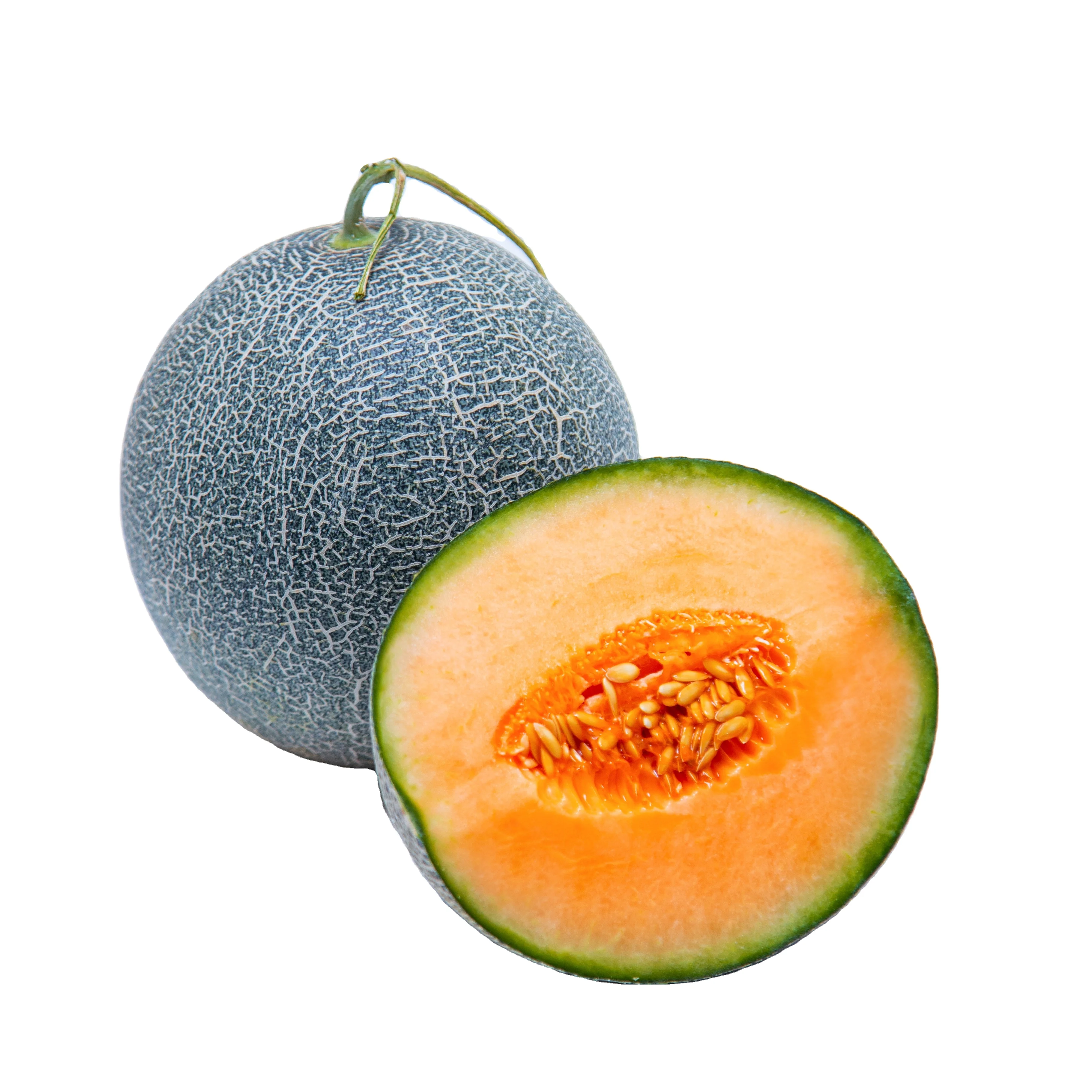 Fresh Fruit Muskmelon Natural Delicious Taste Best Selling From Viet Nam Muskmelon Cantaloupe