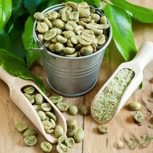 Vietnam wholesales ROBUSTA Green COFFEE BEAN - Robusta Coffee Bean Processing Exporting Quality COFFEE BEAN