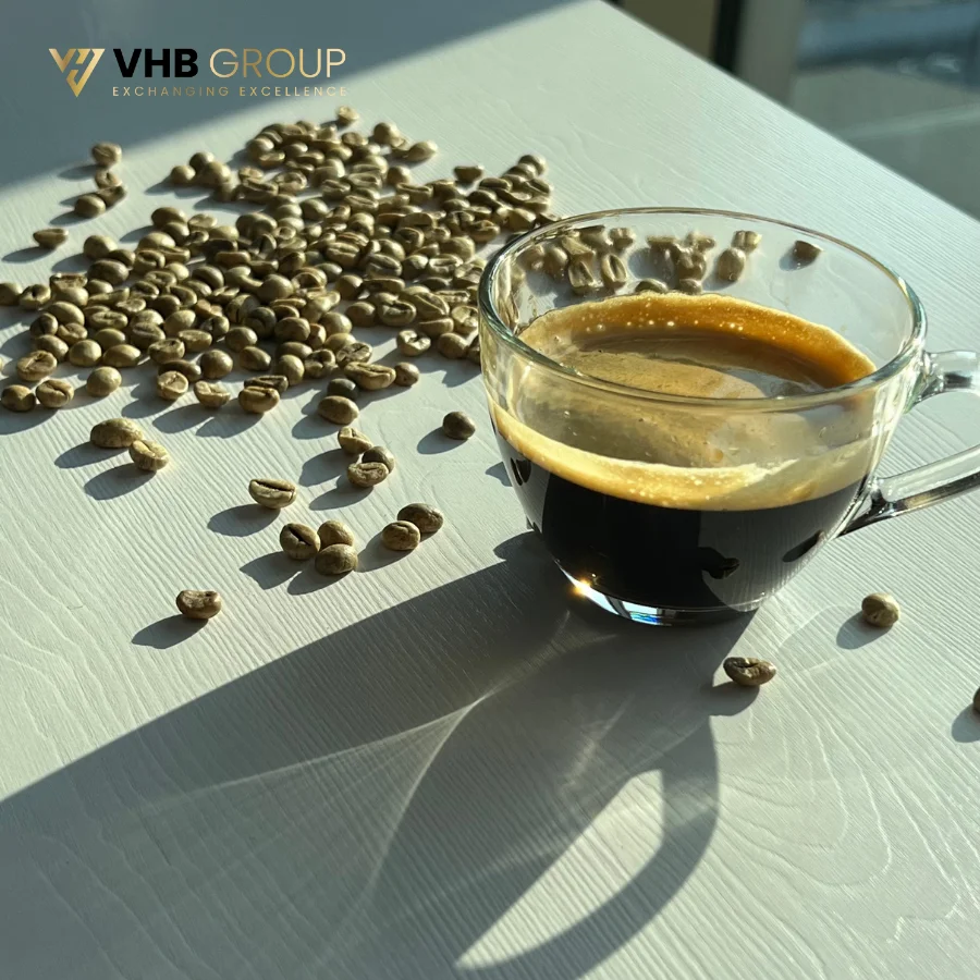 Hot Selling Green Coffee Earthy Import Coffee Bean Organic Product Seller Coffee Grains