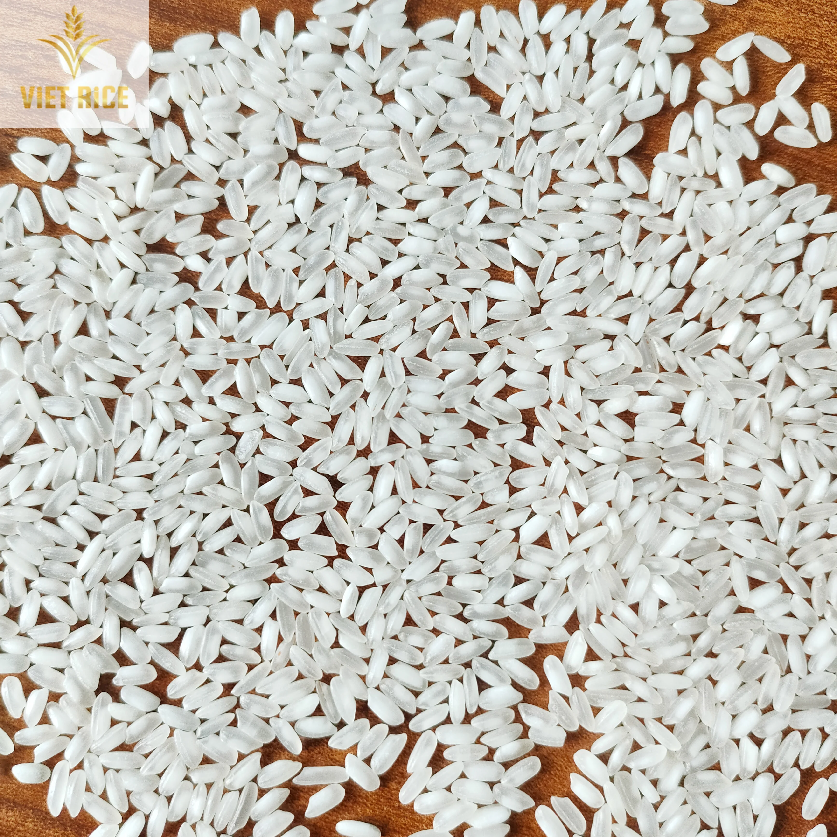 Premium medium grain white rice CAMOLINO 5% broken supplied from a leading Vietnamese a leading rice manufacturer & exporter