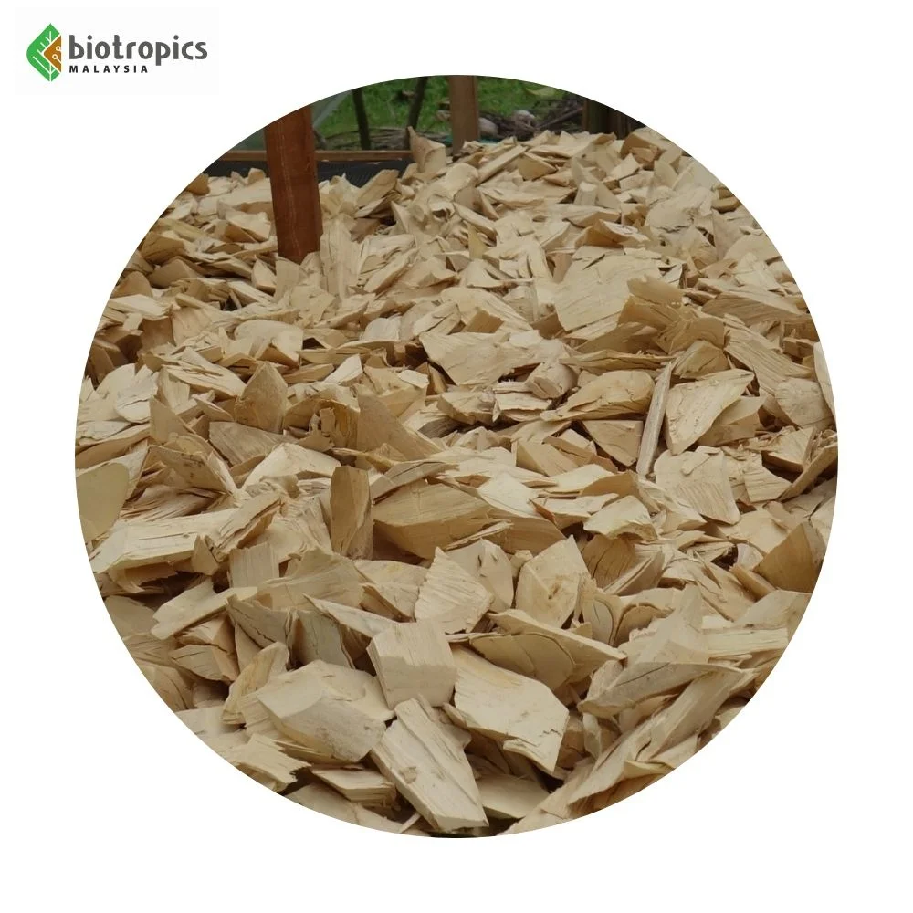 New Water Extract of Tongkat Ali Malaysian Ginseng PG5 for Tea, Coffee, Chocolate Safe for Daily Consumption