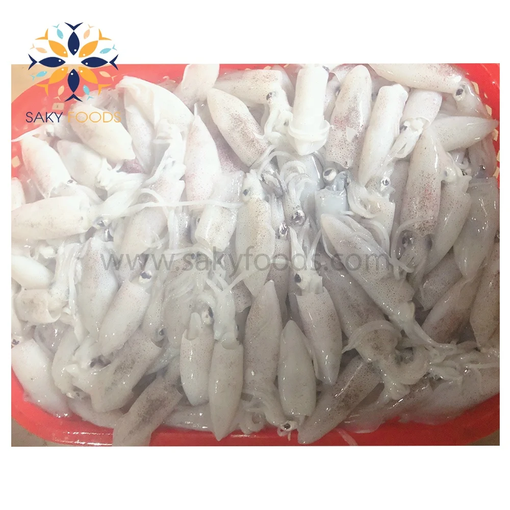 Frozen Seafood Black Whole Loligo Squid