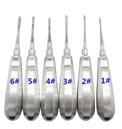 
6Pcs Dental elevator Stainless Steel Tooth Elevator Dentist Tools Stright Curved Root Elevator Dental Lab Instrument 