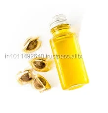 Factory Price Organic Ben Oil From Seeds Of Moringa Oleifera