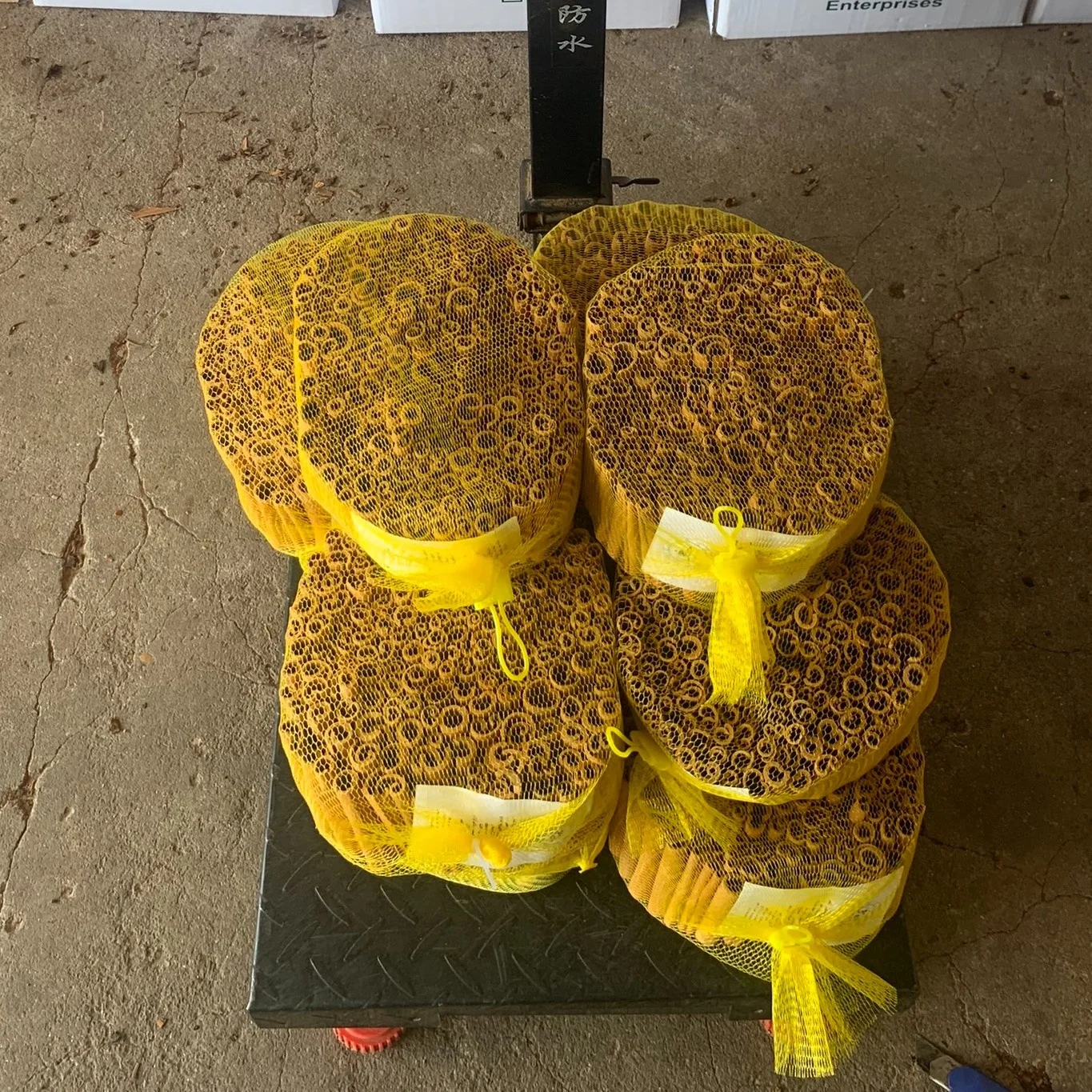 Cassia Cinnamon Bark High oil Content Spices and Herbs Spicy Product Vietnam Product Packed 10kg per carton