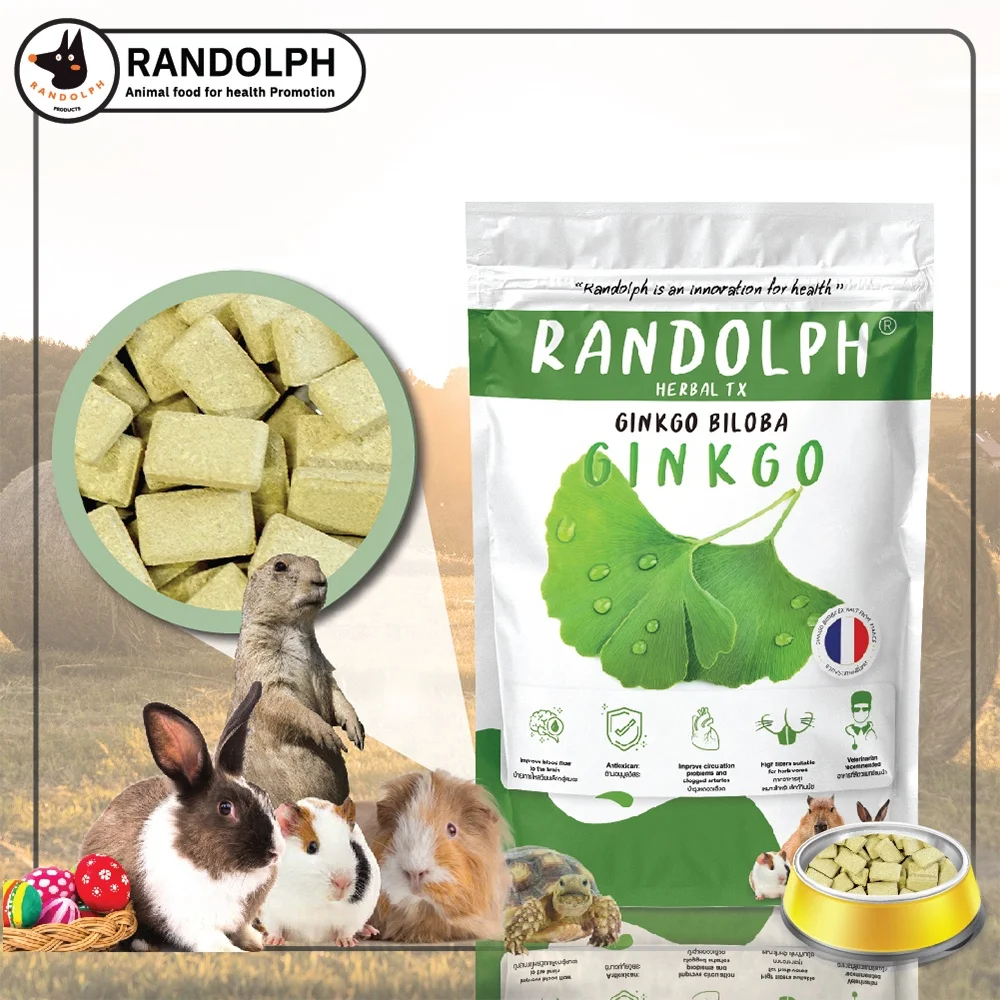 Supplements Ginkgo Extract Promote Blood Circulation for Small Herbivores Developed by Veterinarians Products from Thailand