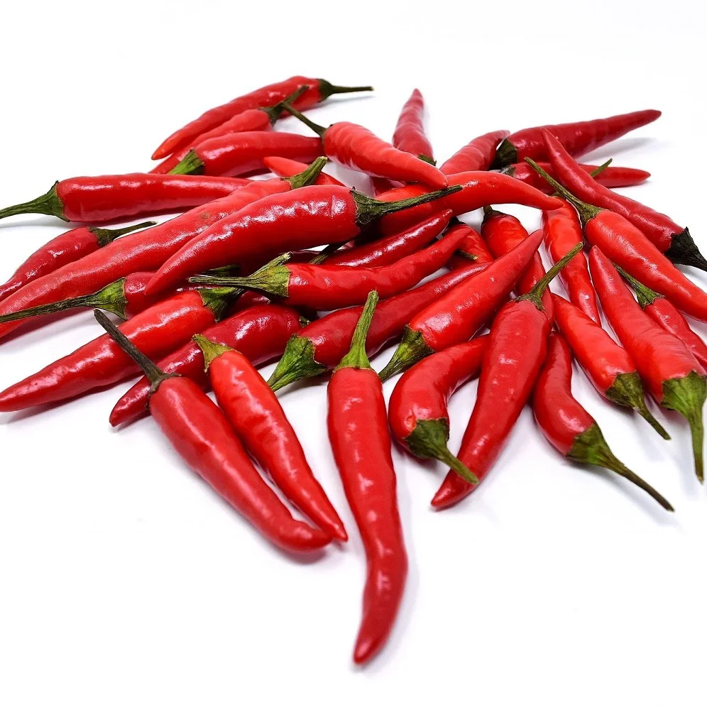Top Sales From Vietnam Low MOQ Custom Logo Fresh High Quality Good Price Package Red Chili