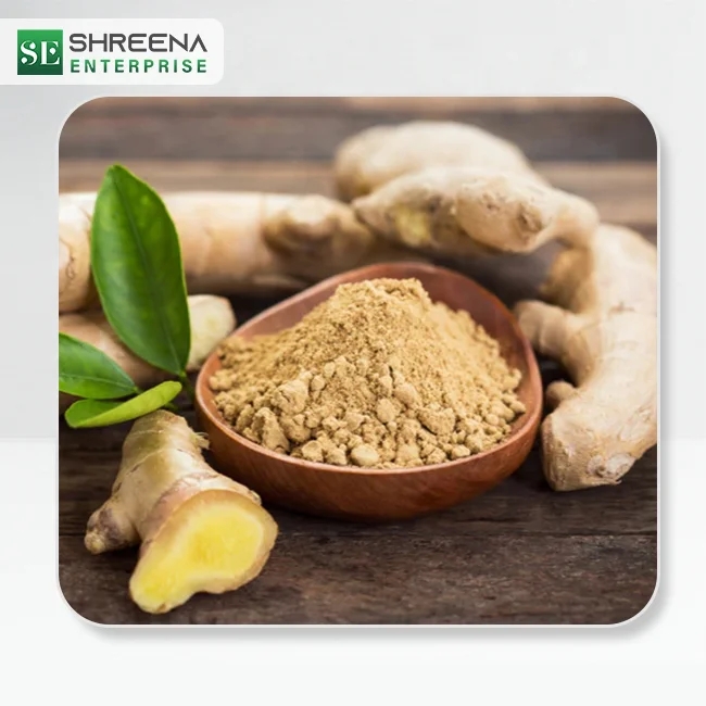 Wholesale 2022 Ginger Powder Hot Sale Organic Water Soluble Ginger Root Extract Powder