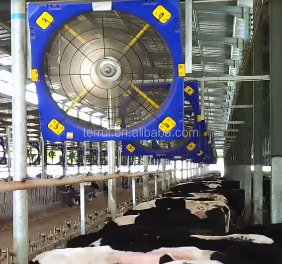 Livestock Fans Dairy Cow Poultry Ventilation Farm Fans