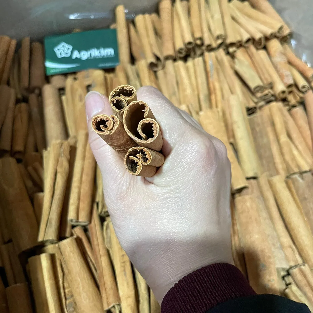 [Free sample] High Quality Stick cassia/Vera cassia/Cigerette Cassia With Full Export Certifications From Vietnam Origin