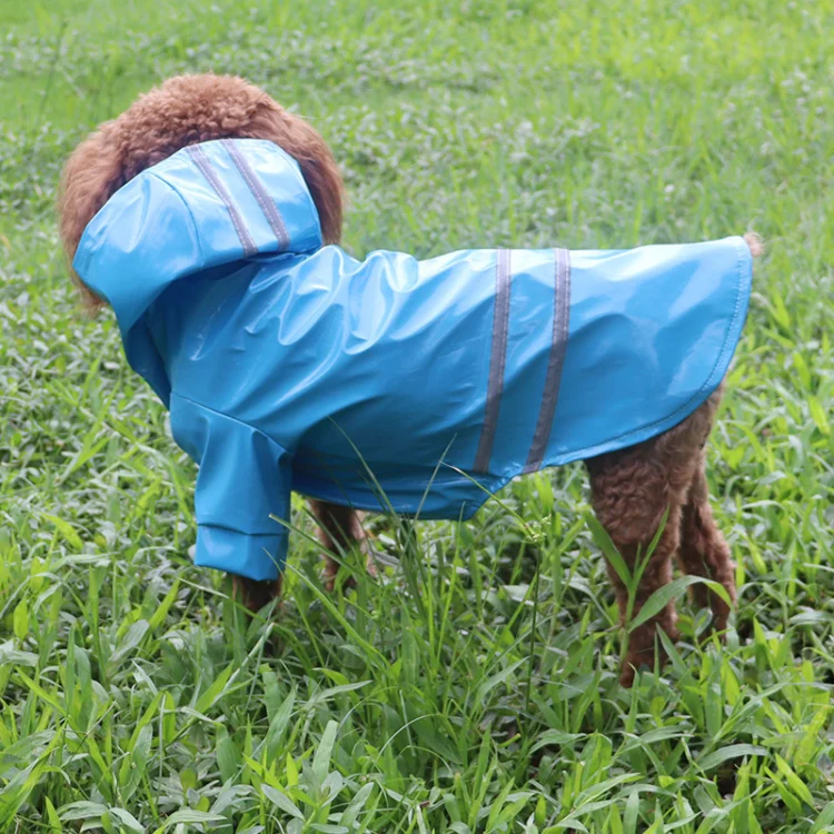 Affordable Dog Rain Jackets for Outdoor Activities