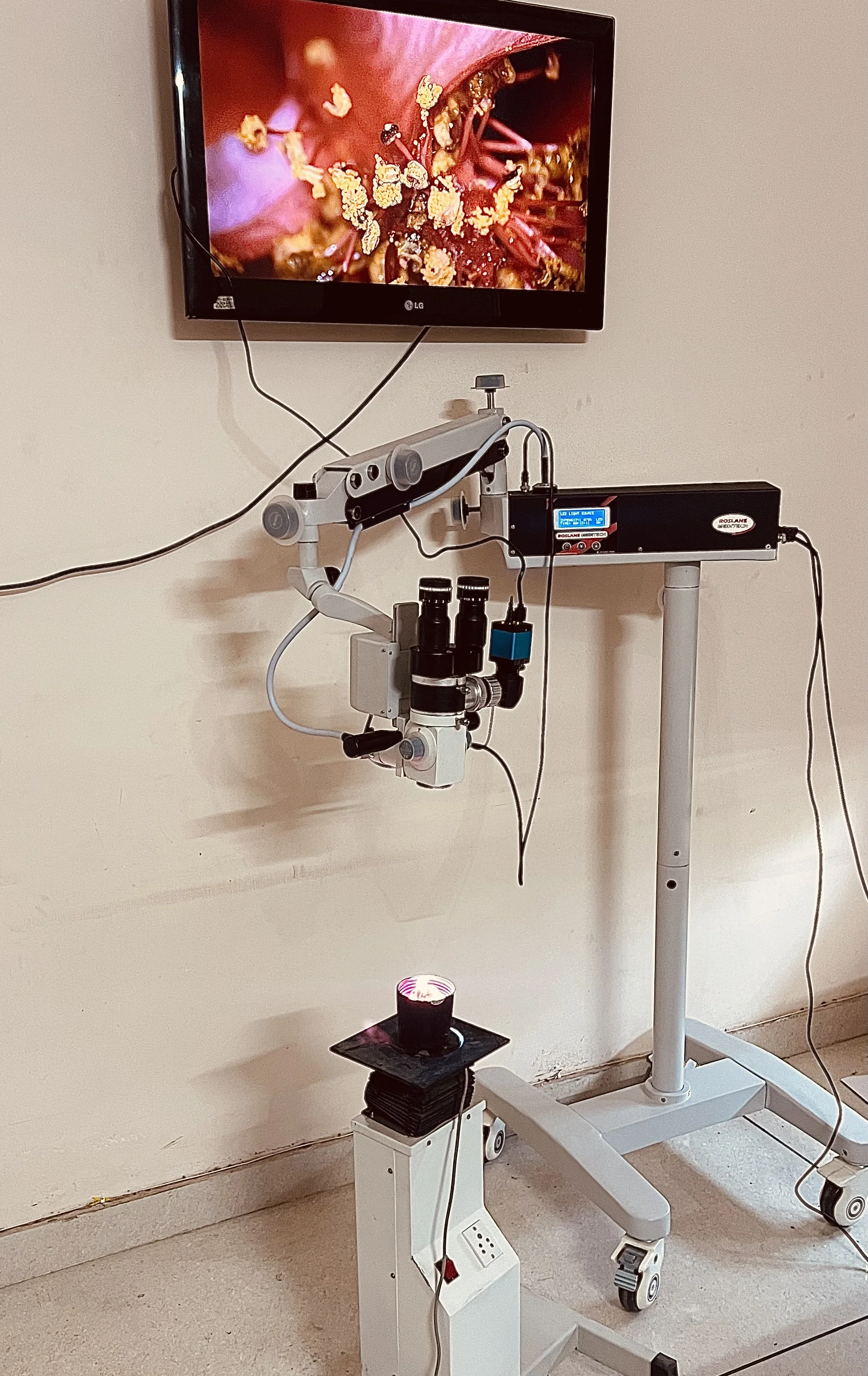 Дешевый Электрический источник питания светодиодный хирургический операционный микроскоп настенное крепление и настенный зажим напольный стенд
