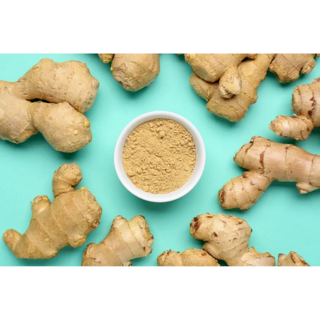 High Quality with Best Price - GINGER from Vietnam - Use Seasoning and spices