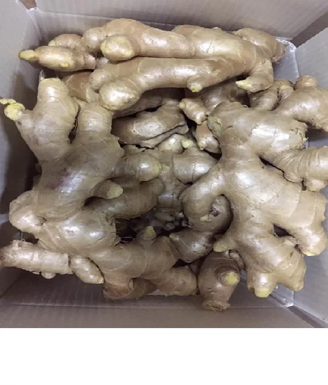 Изготовитель свежего имбиря экспортер качество очищенная свободная глина для удаления грязи большой размер Himalya индивидуальная